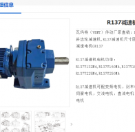 R137-80.91-D160L4-15KW-M1減速電機型號解析