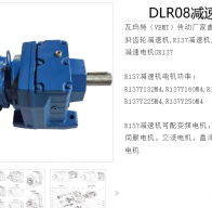 DLR08-1/89.36-DMP160L-4-M1-R-15KW減速電機(jī)型號解析